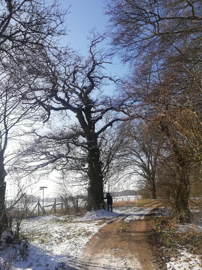 Gaestehaus Kibbel Bosau Bagian luar foto